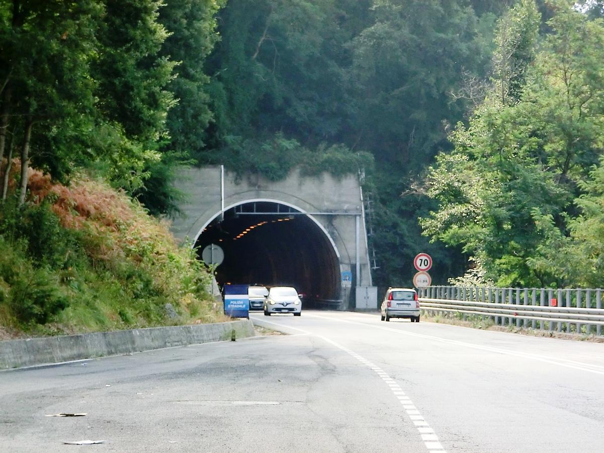Fontanelle Tunnel western portal 