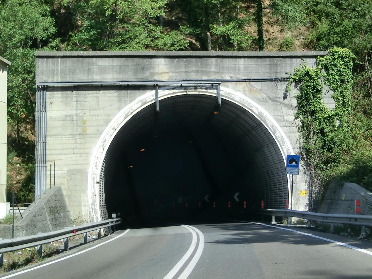 Guardiola Tunnel eastern portal 