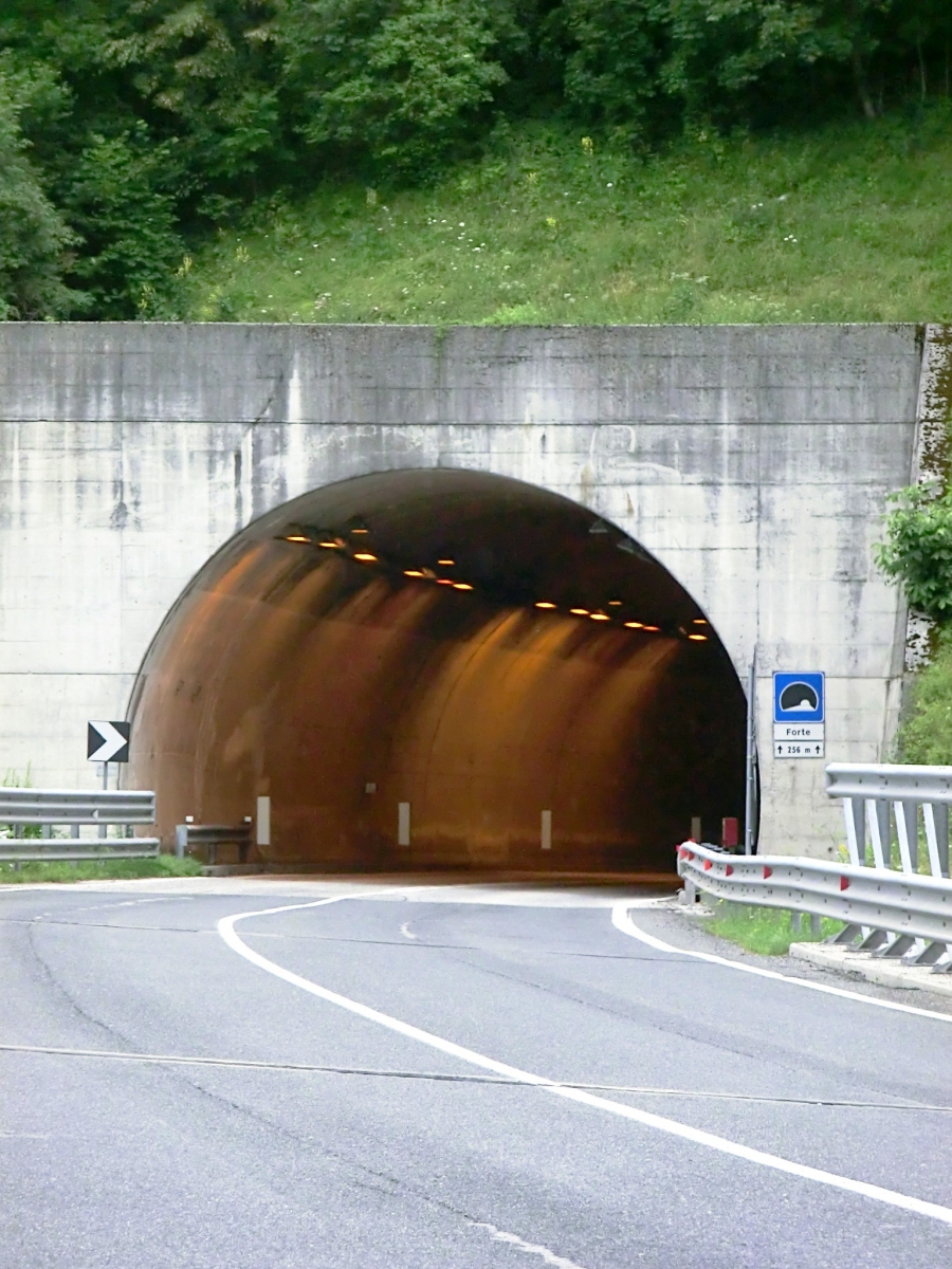 Tunnel de Forte 