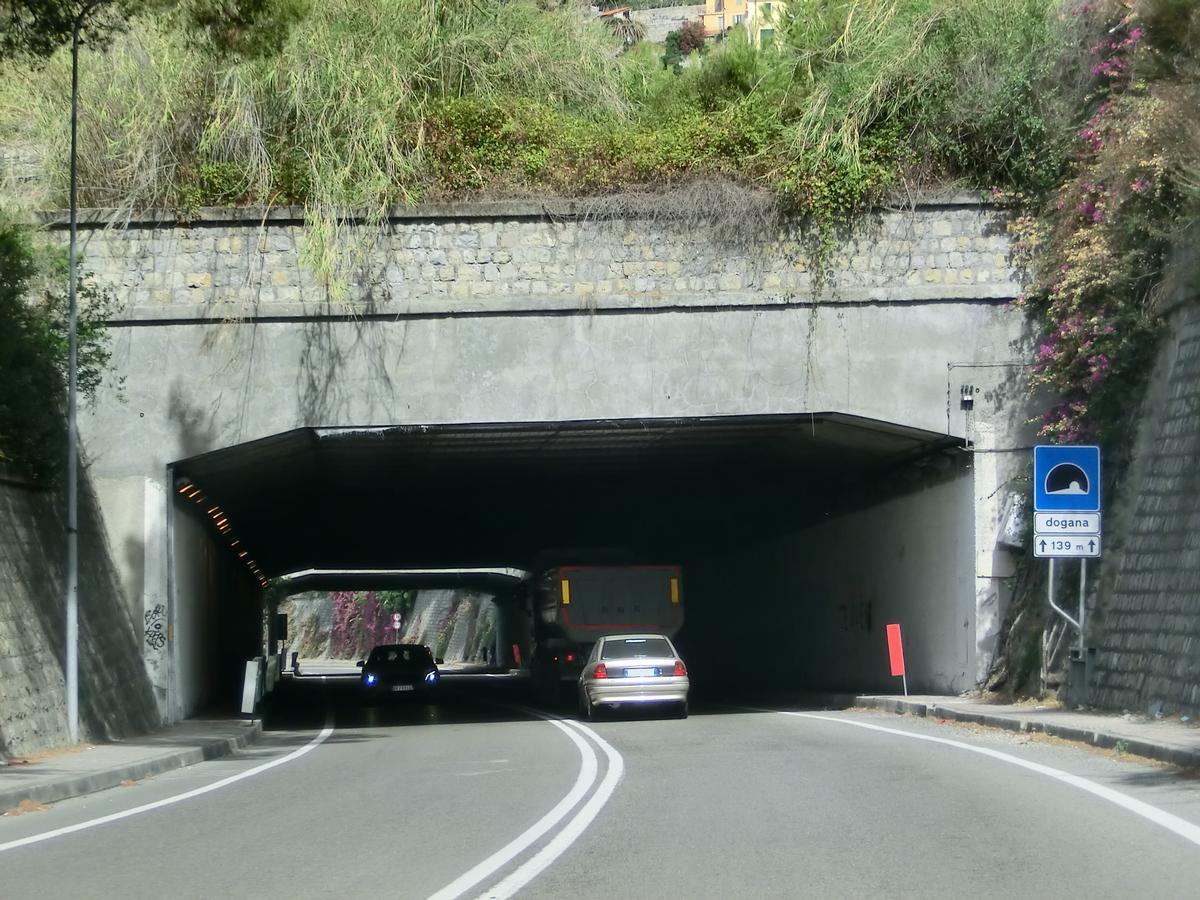 Dogana Tunnel eastern portal 