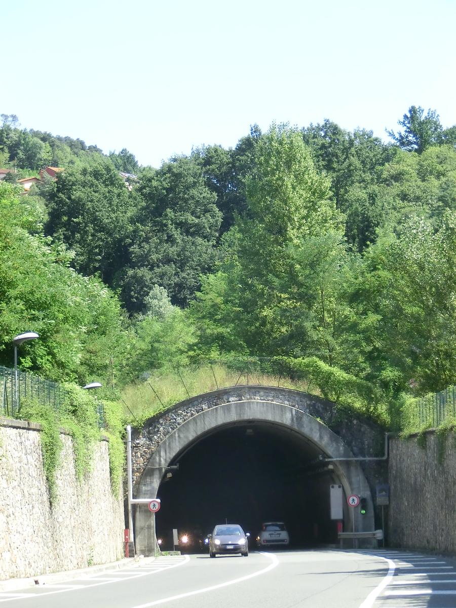 Tunnel de Marinasco 