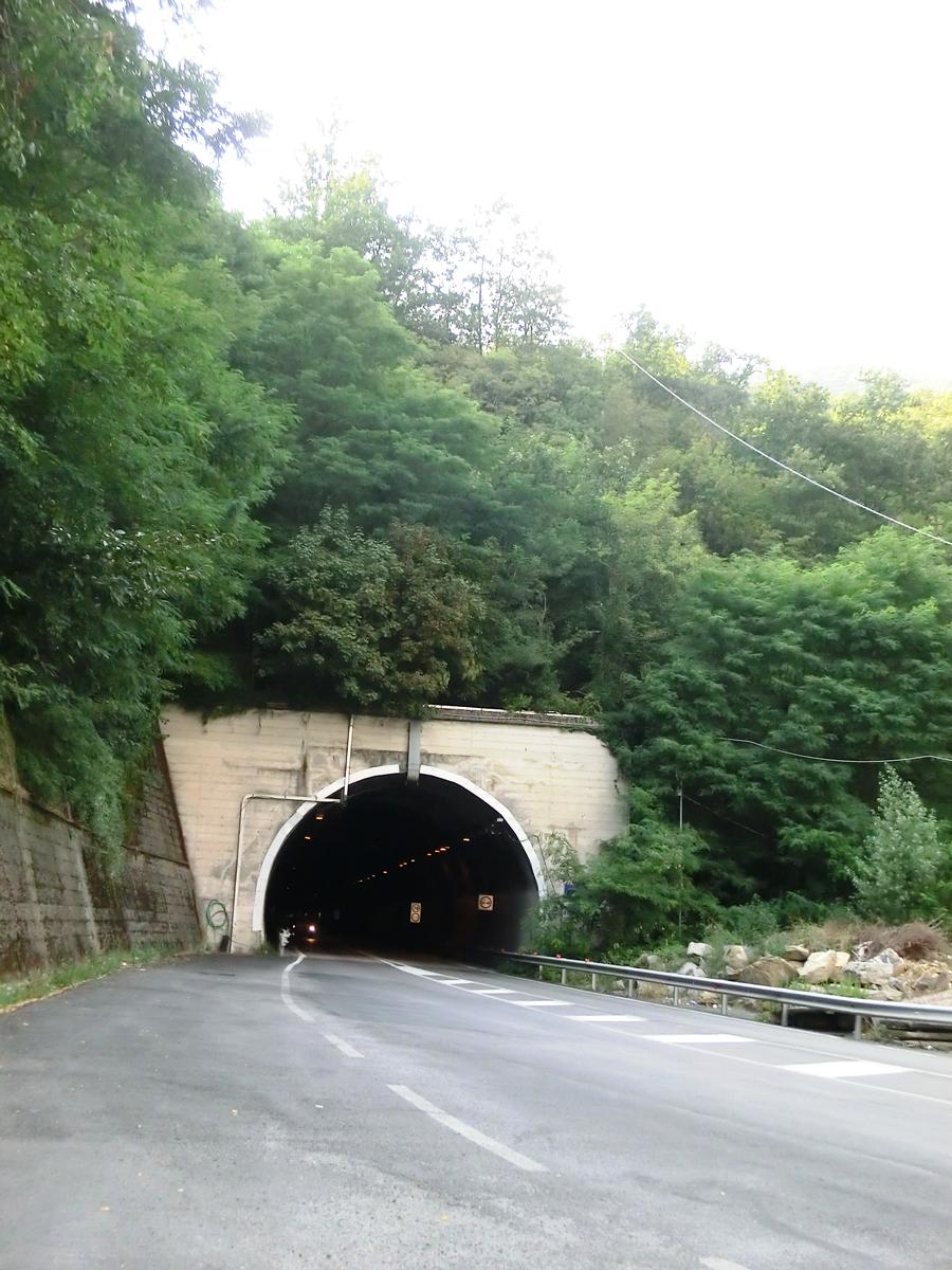 Paolo Emilio Taviani Tunnel eastern portal 