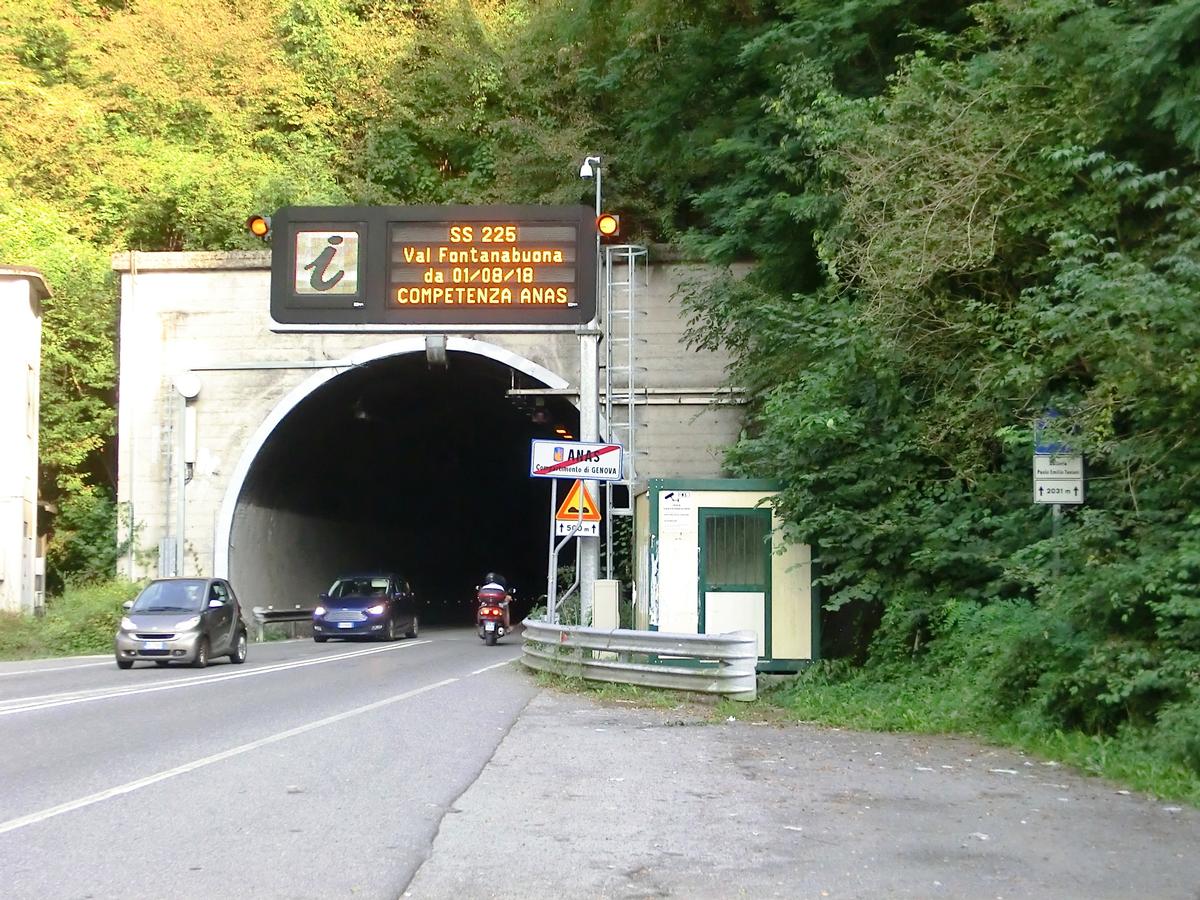 Paolo Emilio Taviani Tunnel western portal 