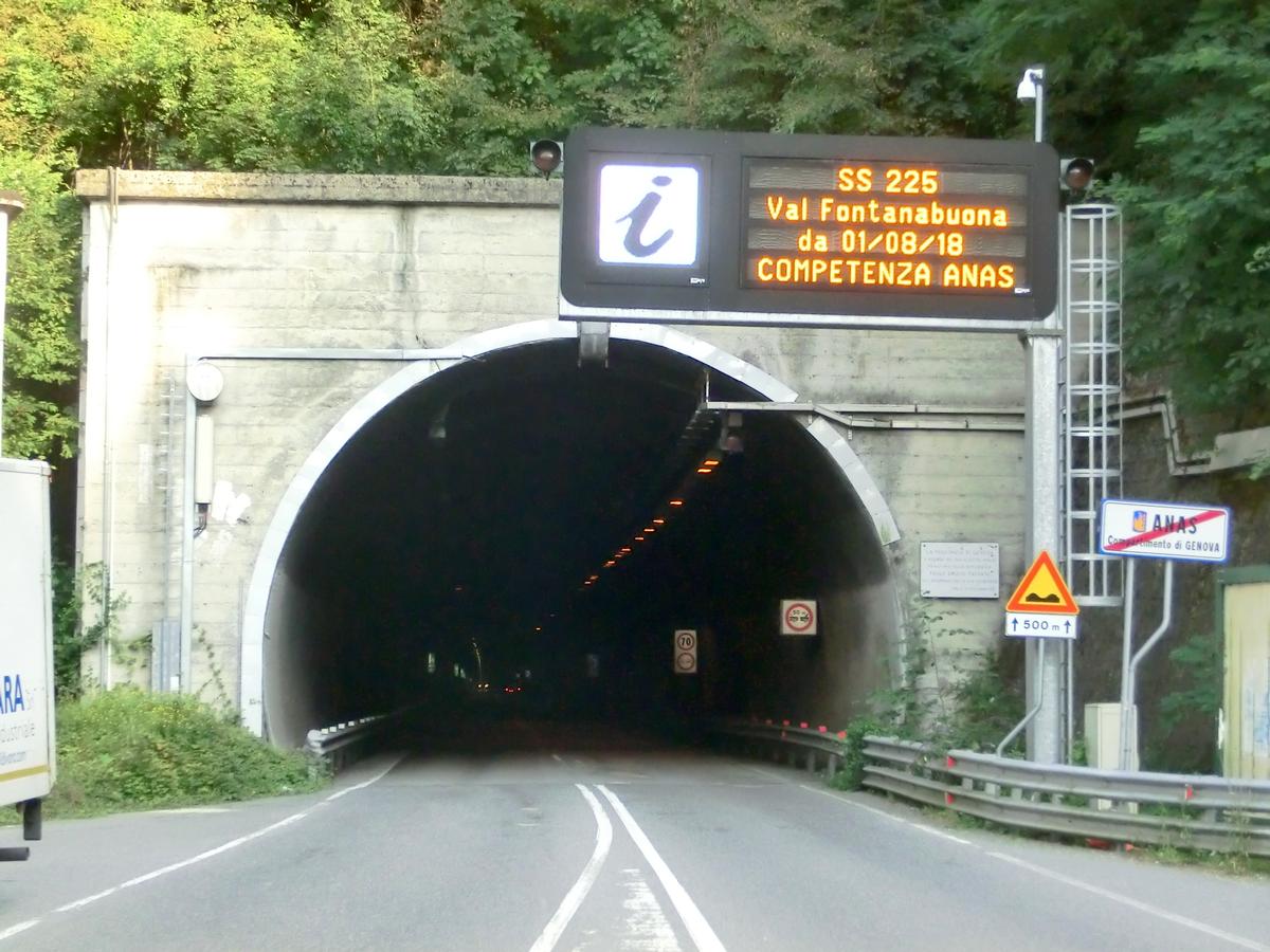 Paolo Emilio Taviani Tunnel western portal 