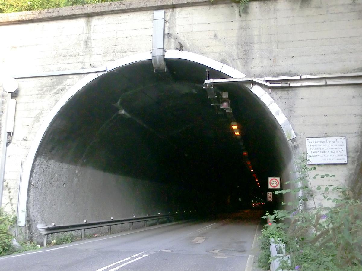Tunnel Paolo-Emilio-Taviani 