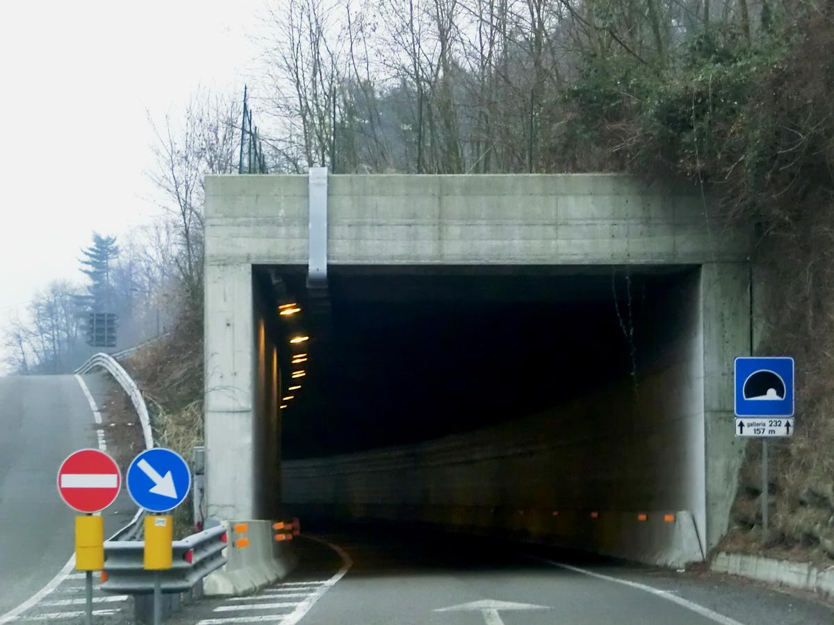 232 Tunnel northern portal 