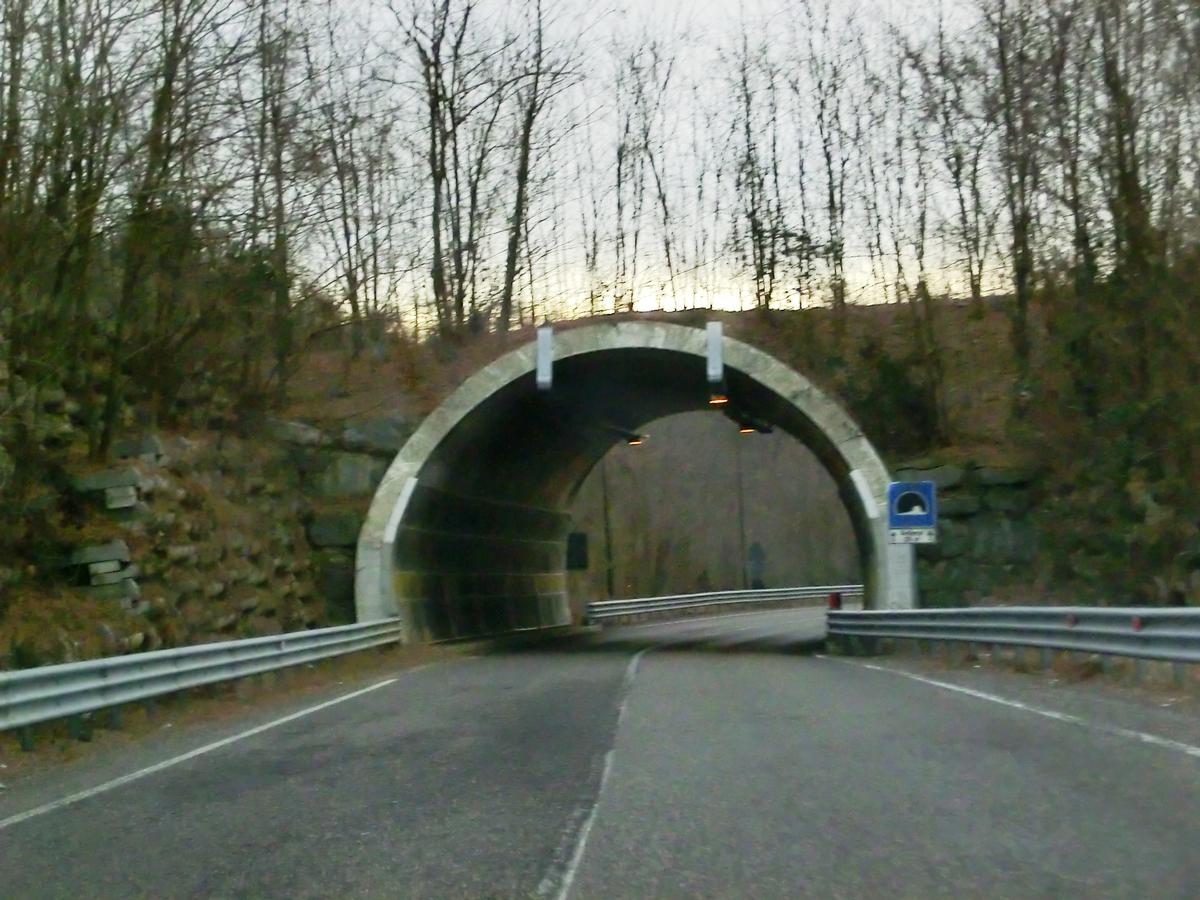 Ardemo Tunnel northern portal 