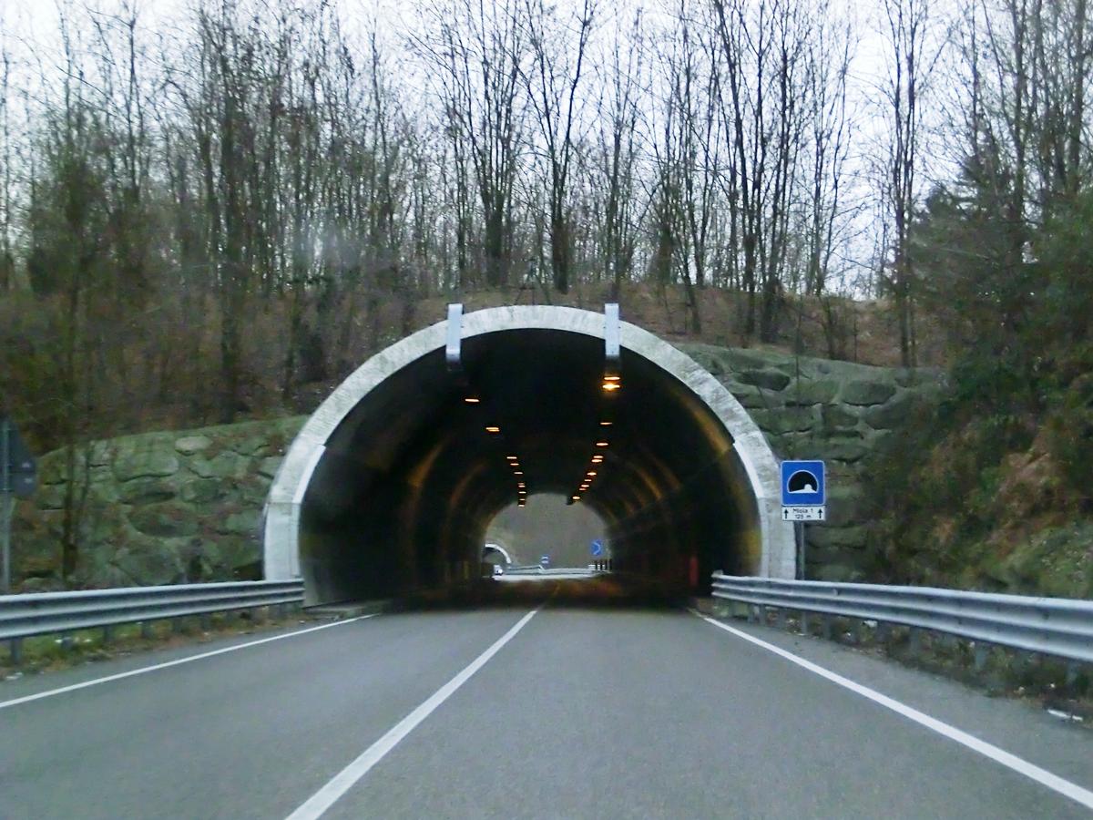 Tunnel Miola 1 