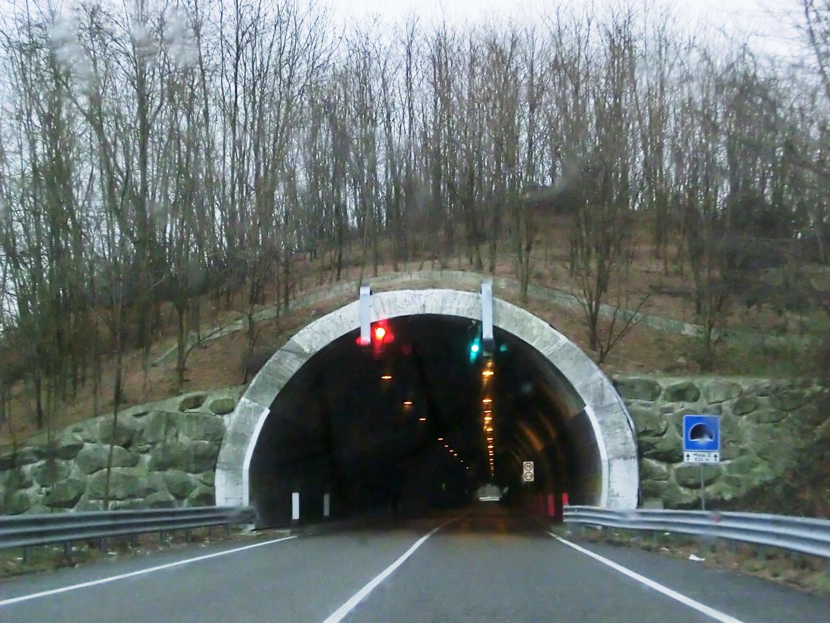 Miola 2 Tunnel northern portal 