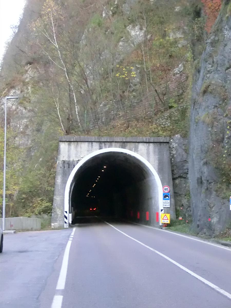 Ponte Pià Tunnel western portal 
