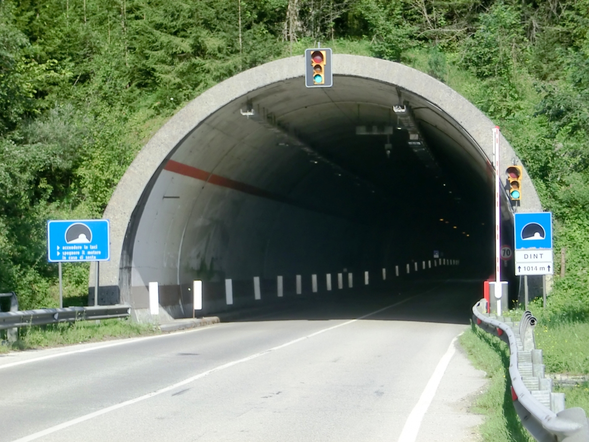 Dint Tunnel western portal 