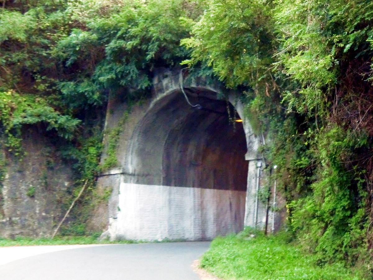 Tunnel Forte Tecci 