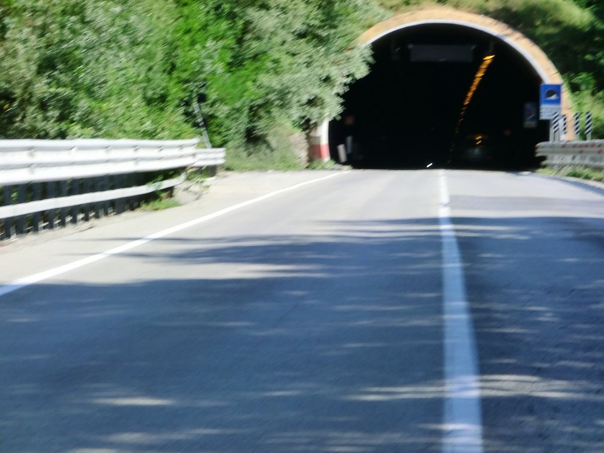 Monte Grosso Tunnel western portal 