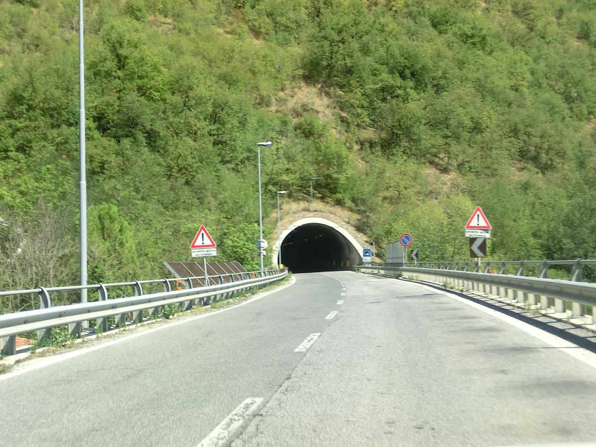 Furlo Tunnel western portals 
