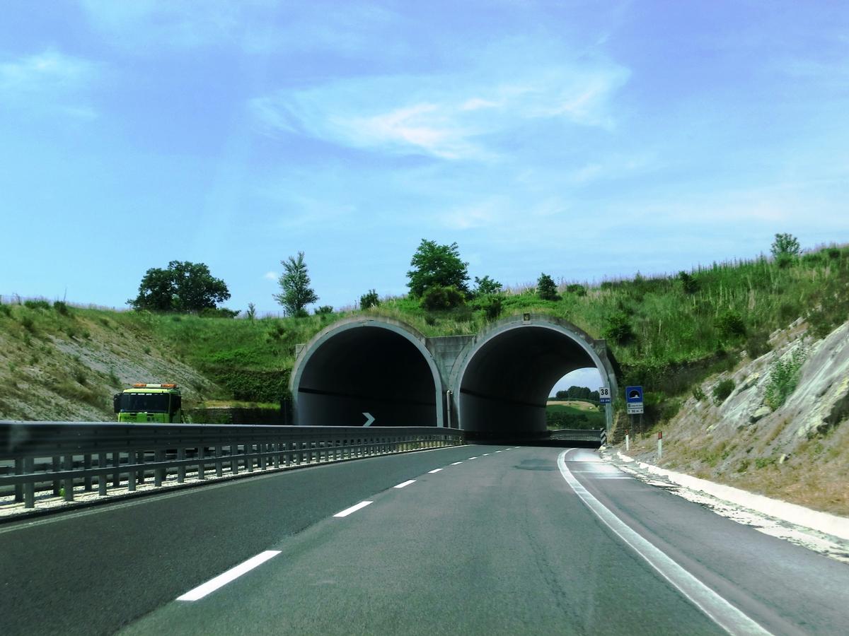 Campo del Sasso Tunnel eastern portals 