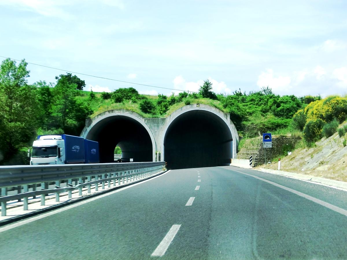 Crocicchio Tunnel eastern portals 