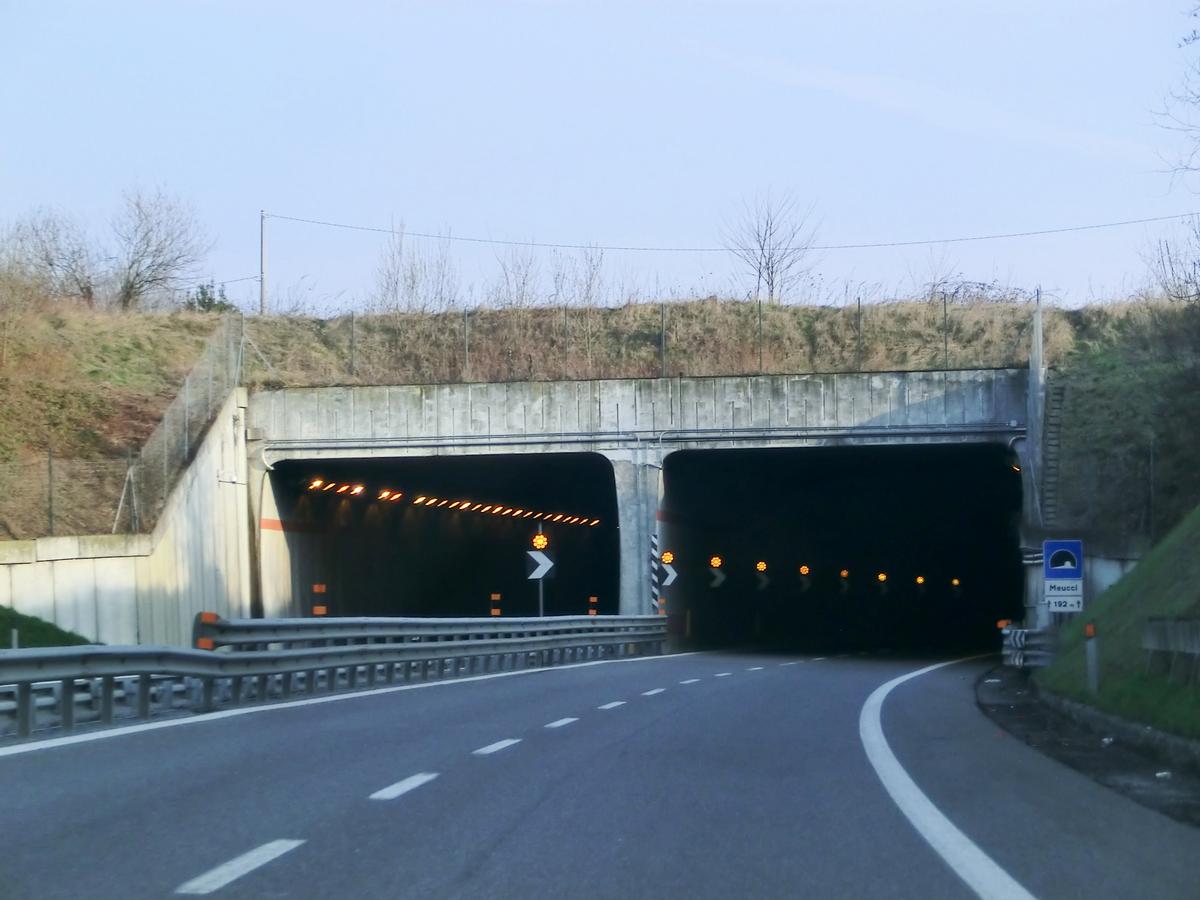 Meucci Tunnel northern portals 