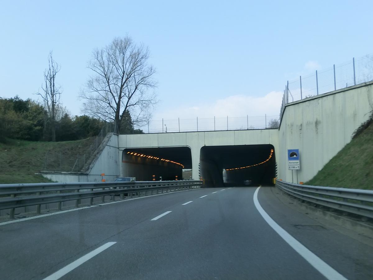 Montegrappa Tunnel southern portals 