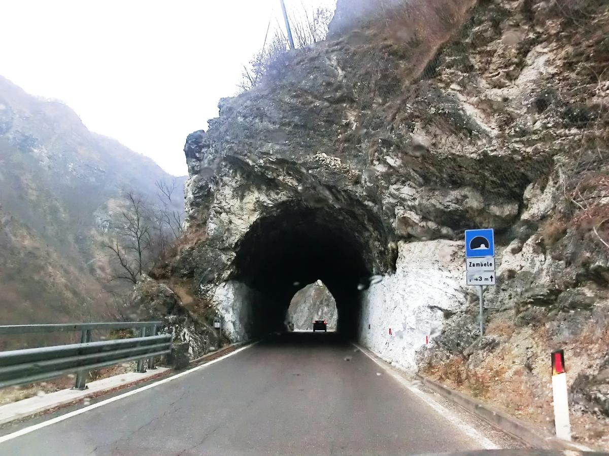 Zambele Tunnel northern portal 