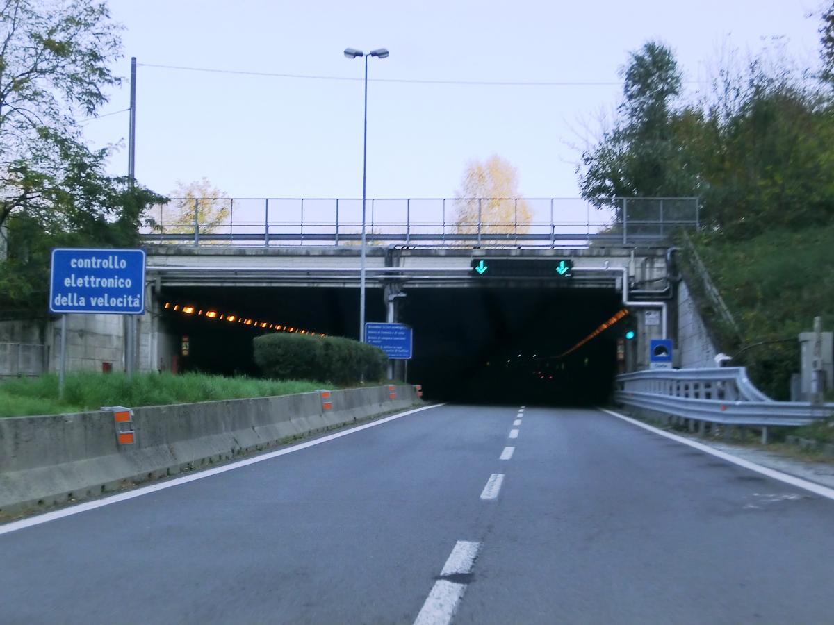 Corte Tunnel southern portals 