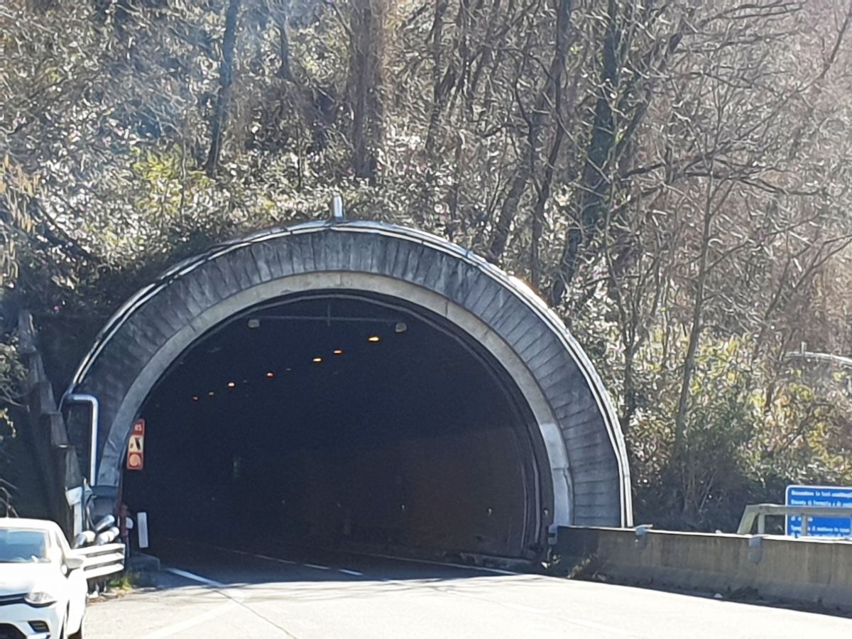 Monte Piazzo Tunnel northern portal 