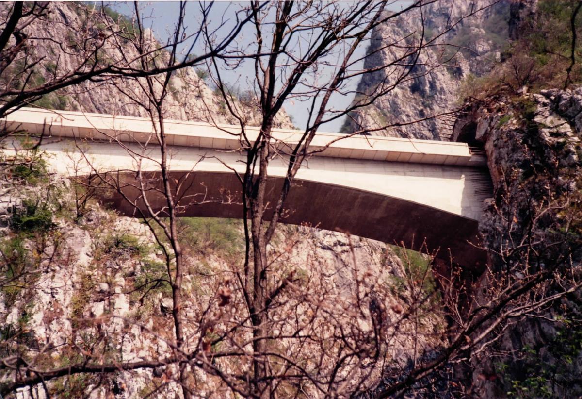 Passo del Lupo Bridge 