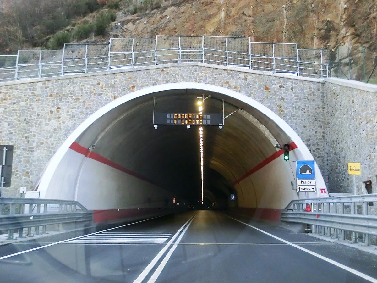 Paniga Tunnel eastern portal 