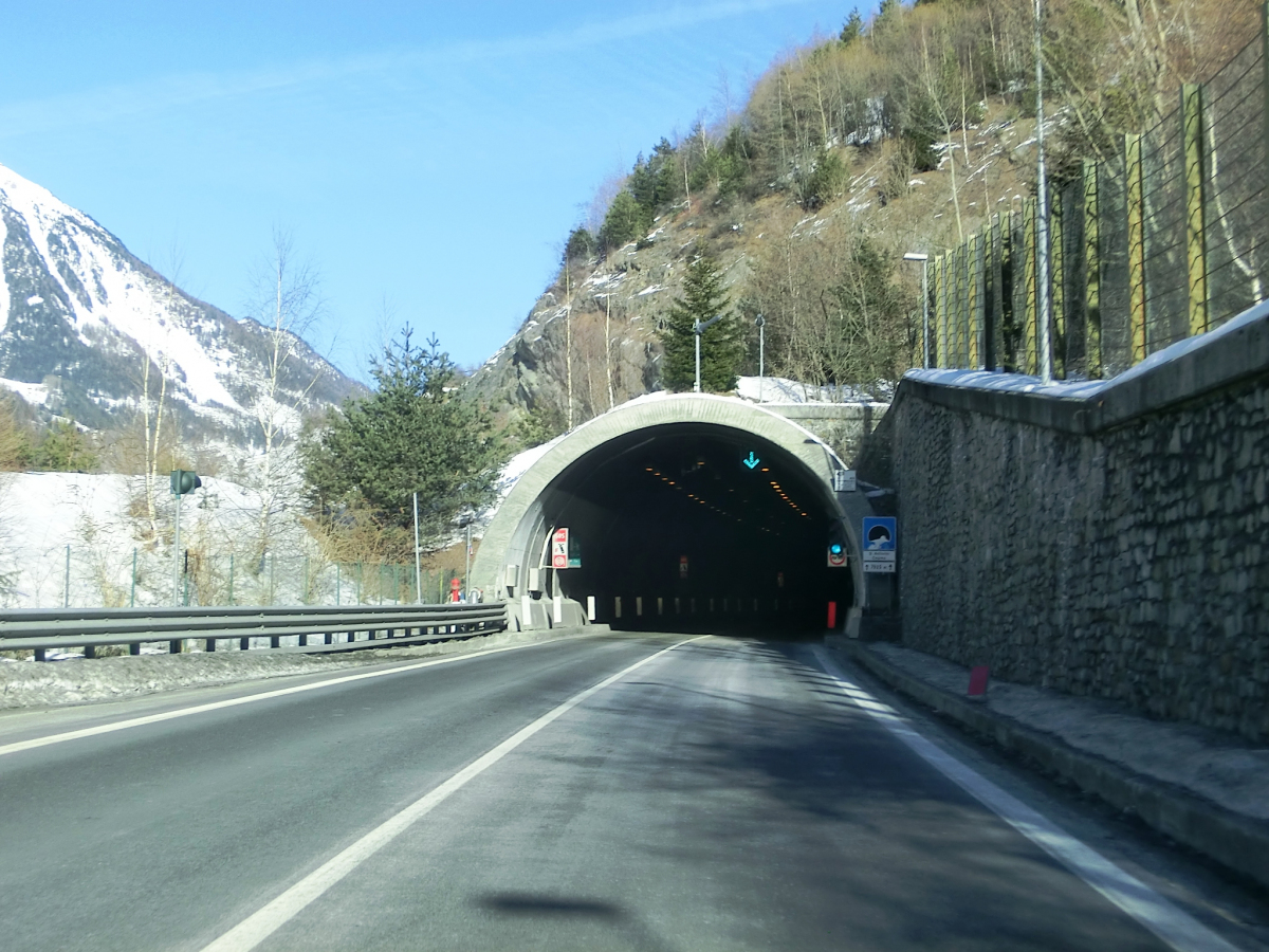 Sant'Antonio-Cepina Tunnel southern portal 