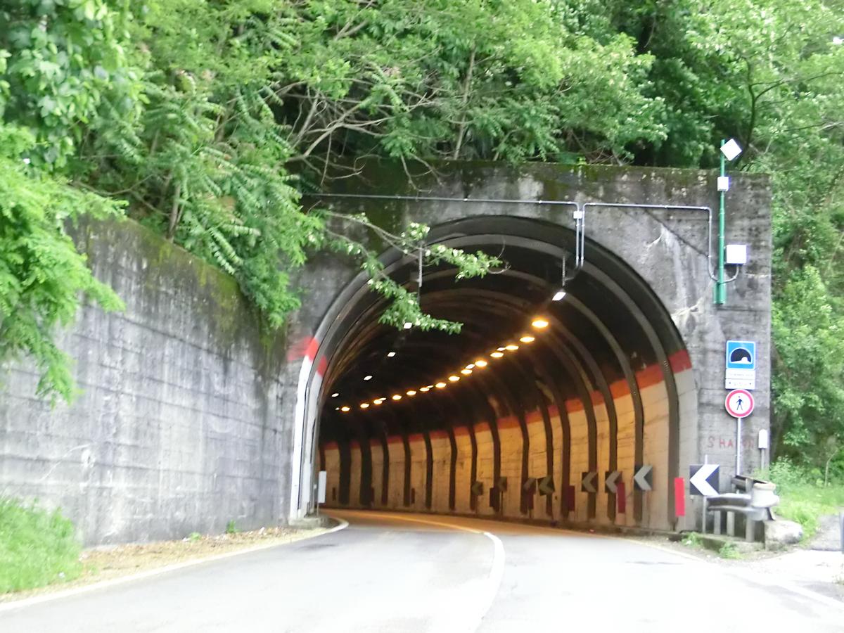 Colmegna Nord Tunnel northern portal 