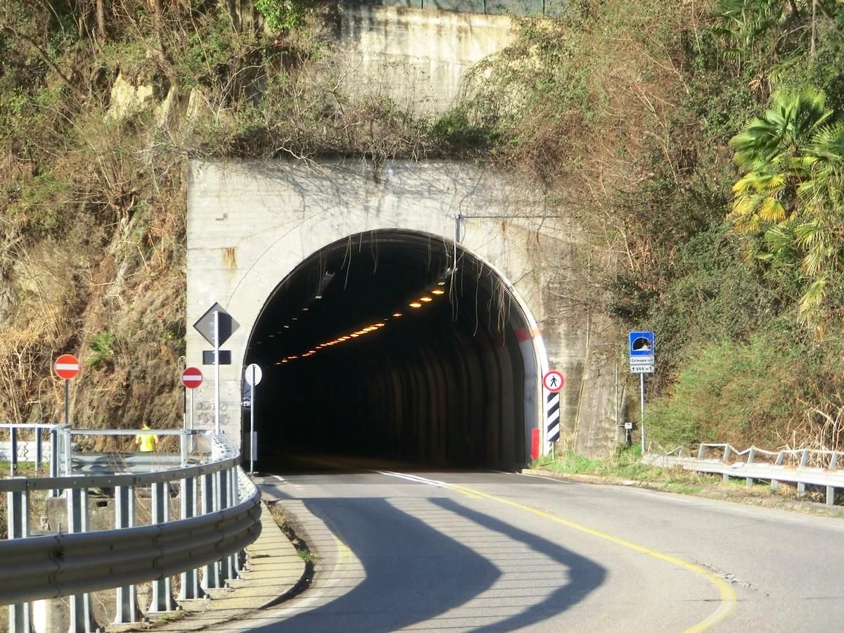 Colmegna South Tunnel southern portal 