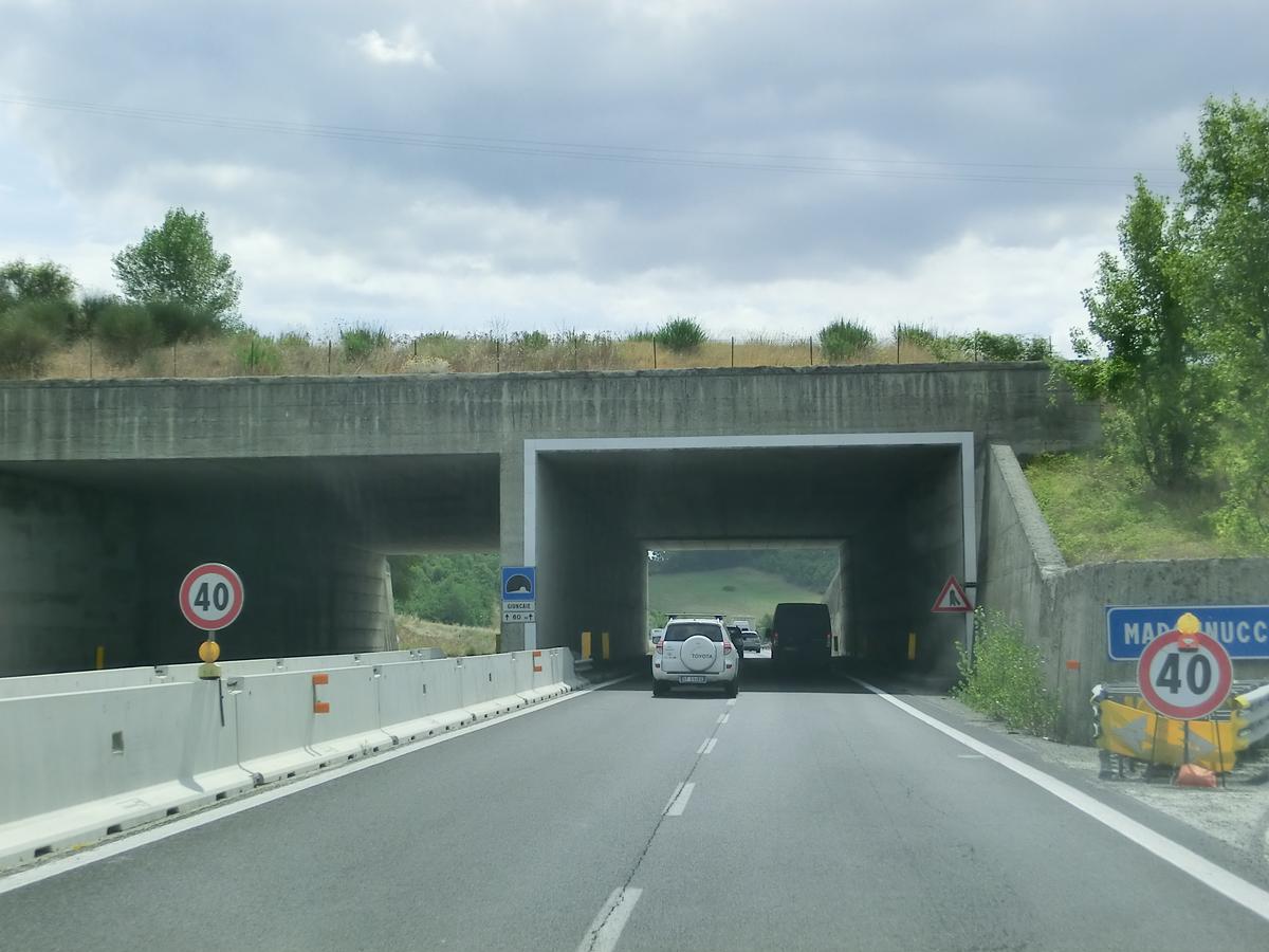 Giuncaie artificial Tunnel western portals 