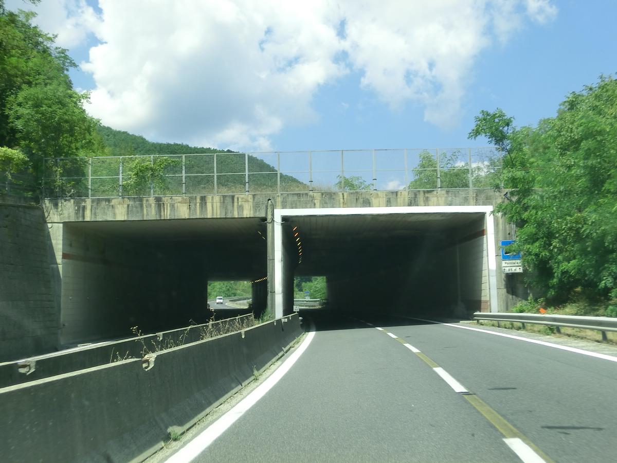 Pozzale Tunnel southern portals 