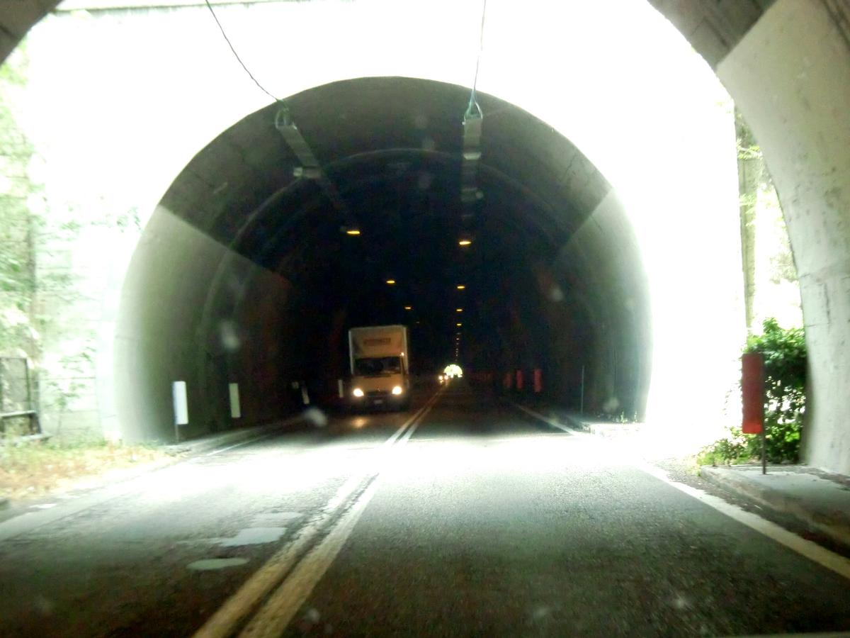 D'Arli 1 Tunnel eastern portal from D'Arli 2 tunnel 