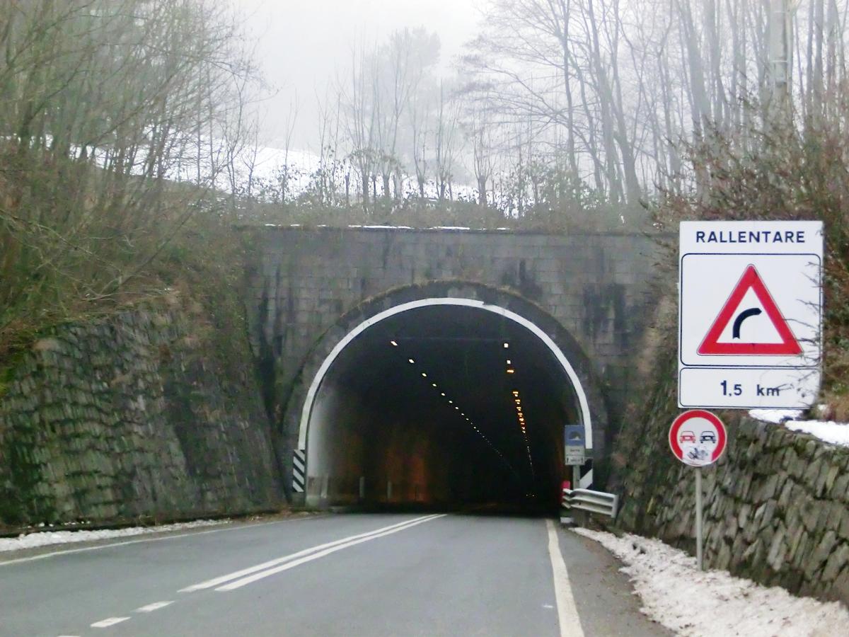 La Serra Tunnel eastern portal 