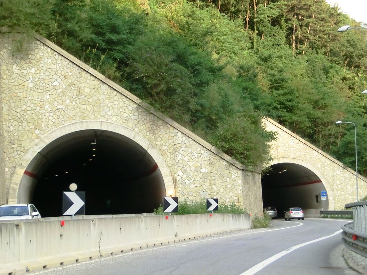 Berzo Tunnel (on the left) and Demo Tunnel northern portals 