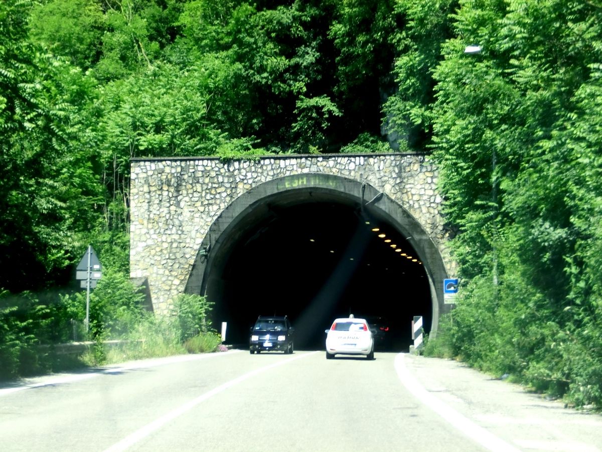 Minerva Tunnel southern portal 