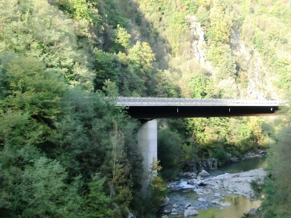 Serchio Viaduct 