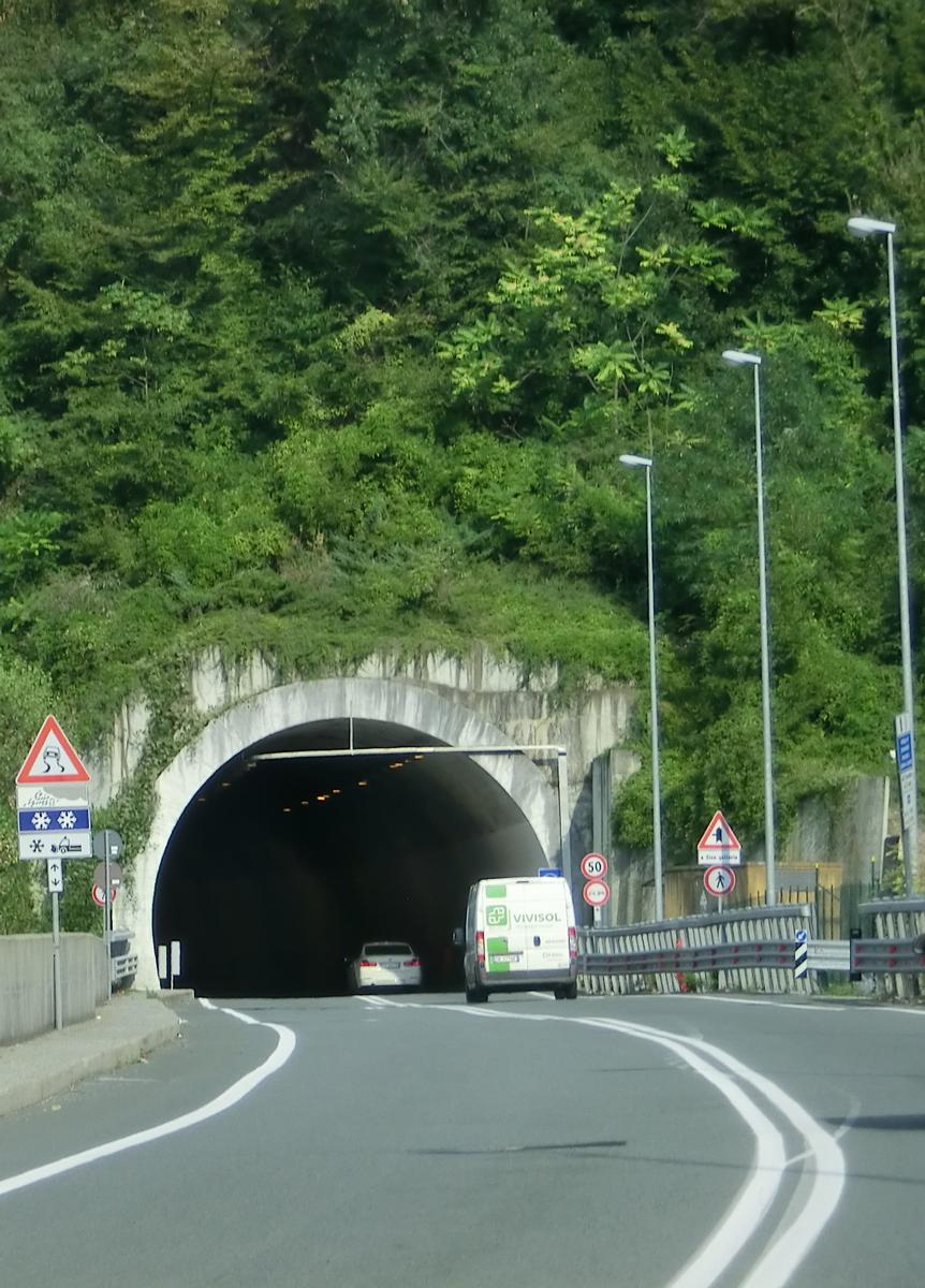 Della Paglia Tunnel western portal 