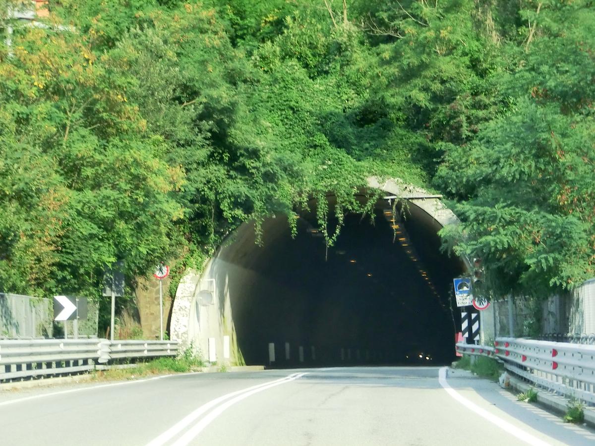 Madonna di Montebruno Tunnel western portal 
