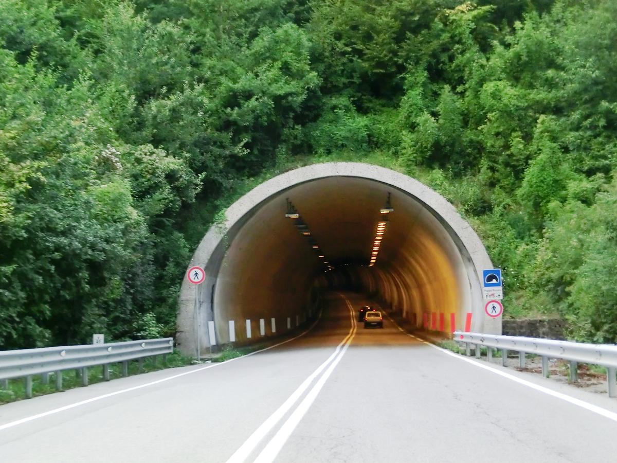 Poggio Pezzato Tunnel northern portal 