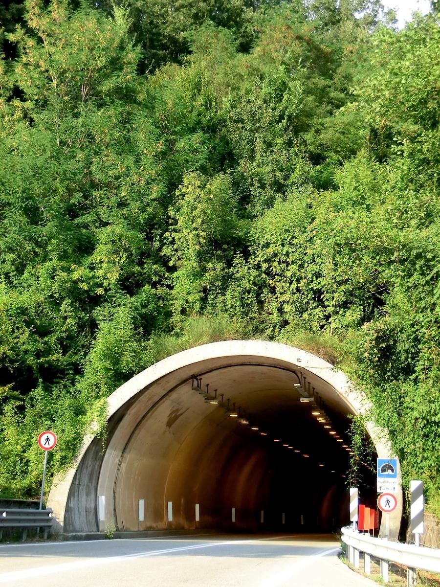 Poggio Pezzato Tunnel southern portal 