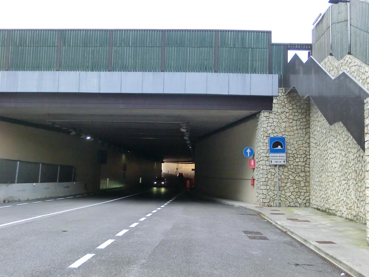Ardaro Tunnel southern portal 