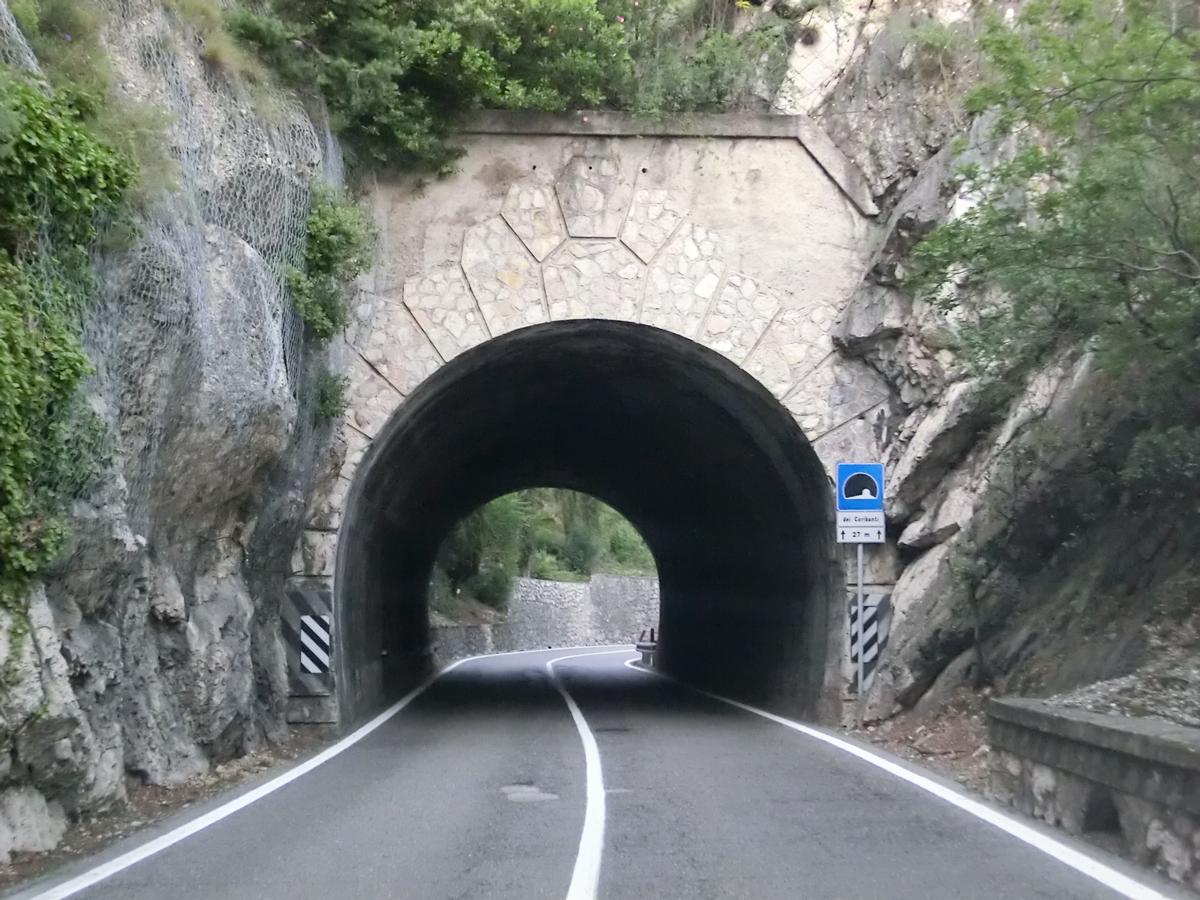 Coribanti Tunnel southern portal 