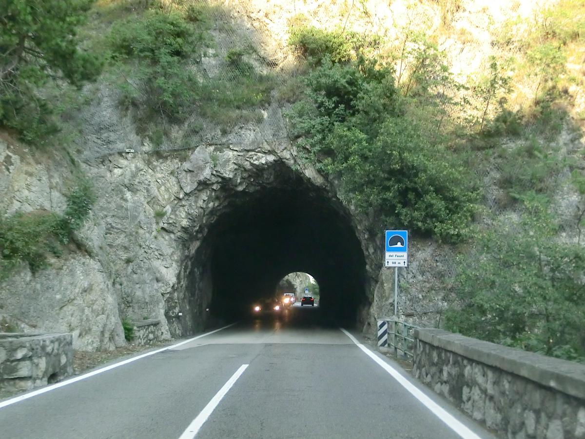 Fauni Tunnel southern portal 