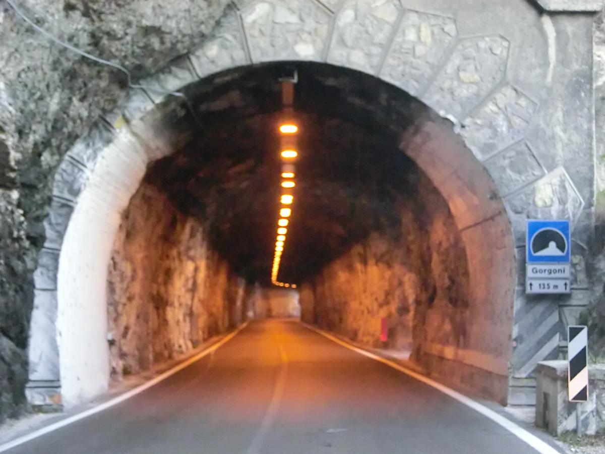Tunnel Gorgoni 