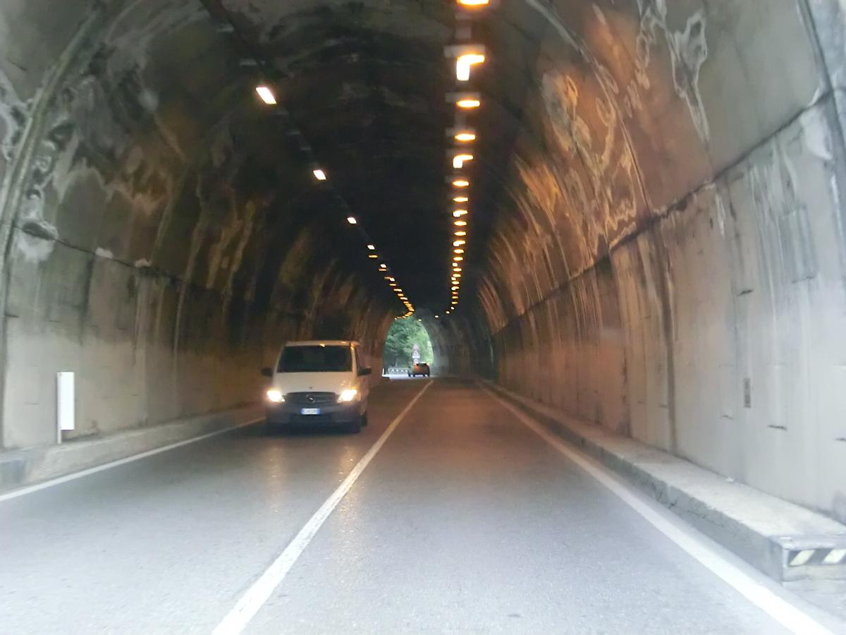 Tunnel de Muse 