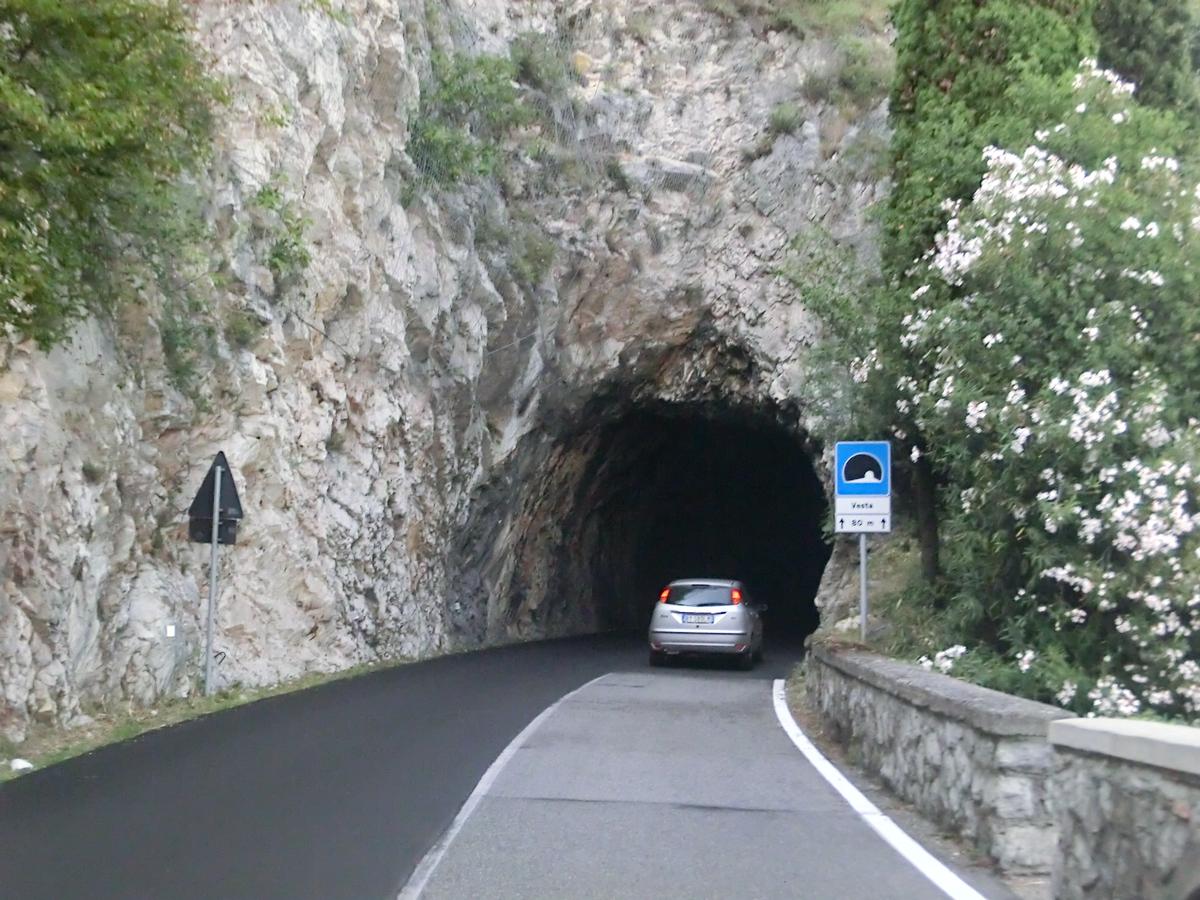 Vesta Tunnel southern portal 