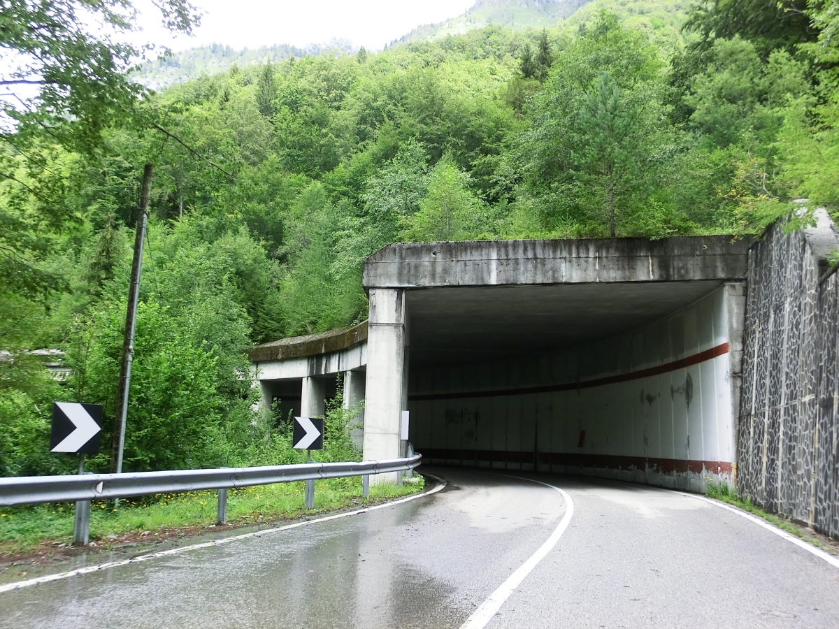 Rio Frassin Tunnel eastern portal 