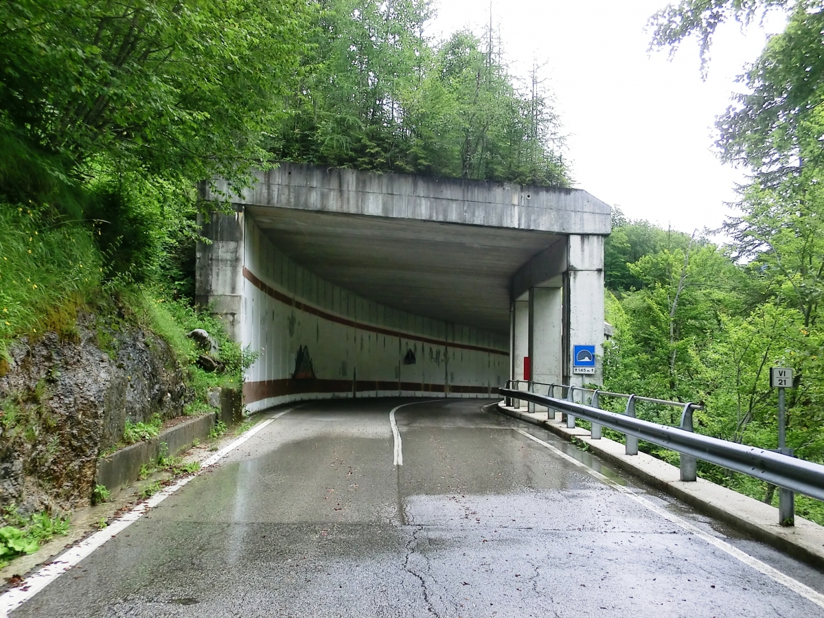 Rio Frassin Tunnel western portal 