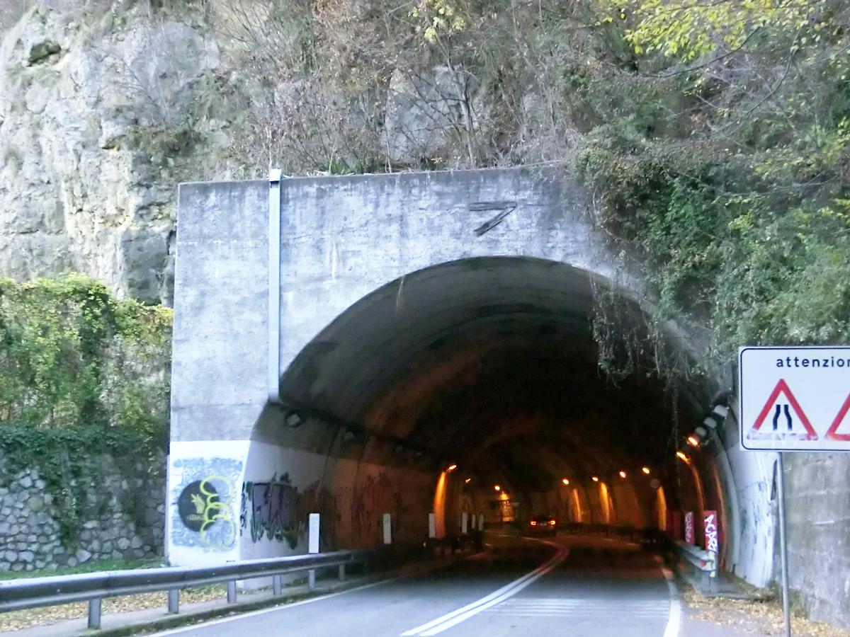 Castro II Tunnel northern portal 